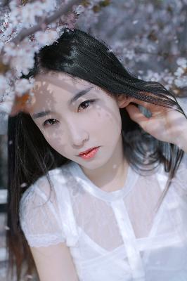 惊爆！成人版西游记，这些数字背后竟藏着怎样的秘密？